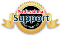 Professional Support